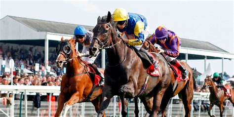 reddit horse racing|horse racing tips reddit.